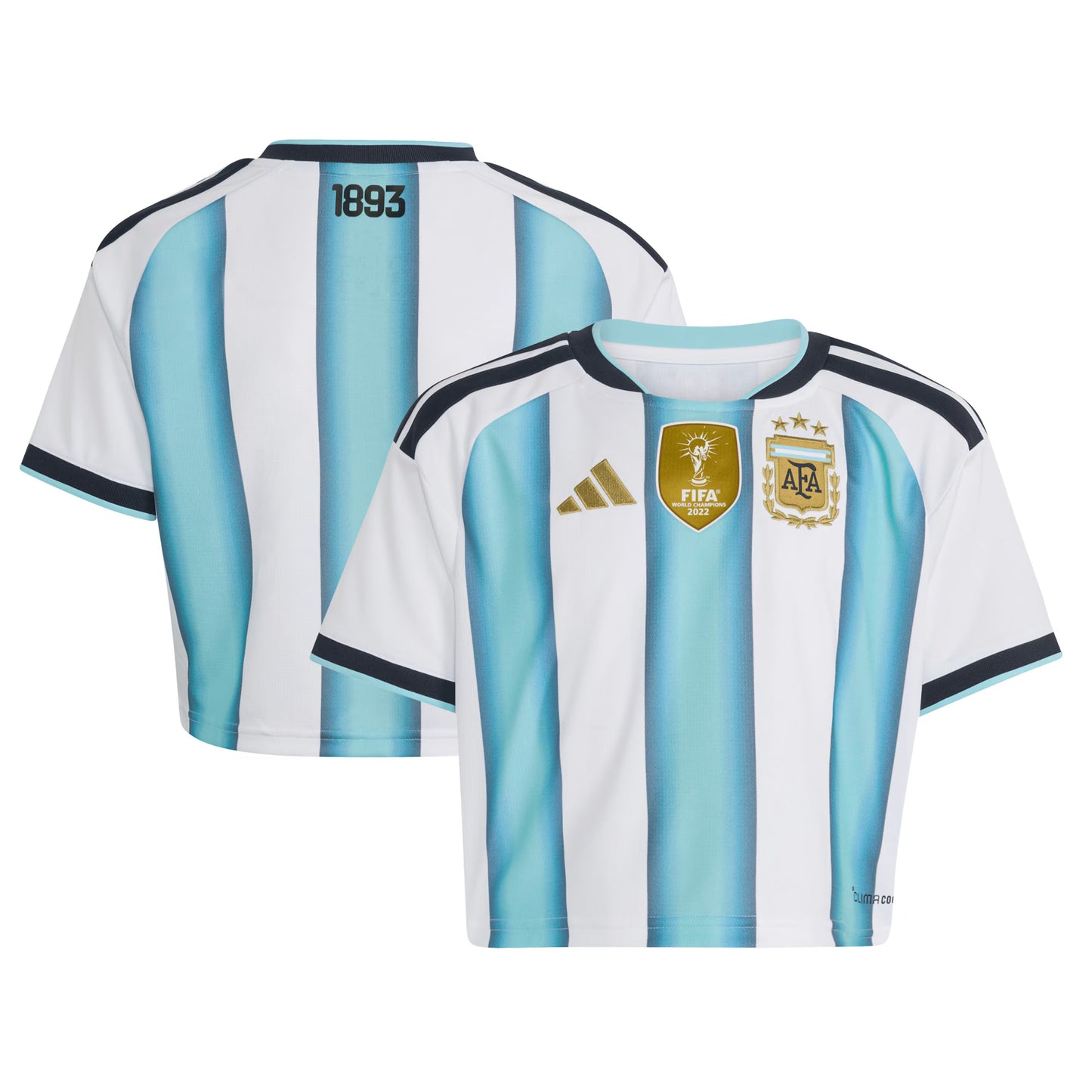 Argentina National Team Women's Home 2022 Winners Cropped Replica Jersey - White