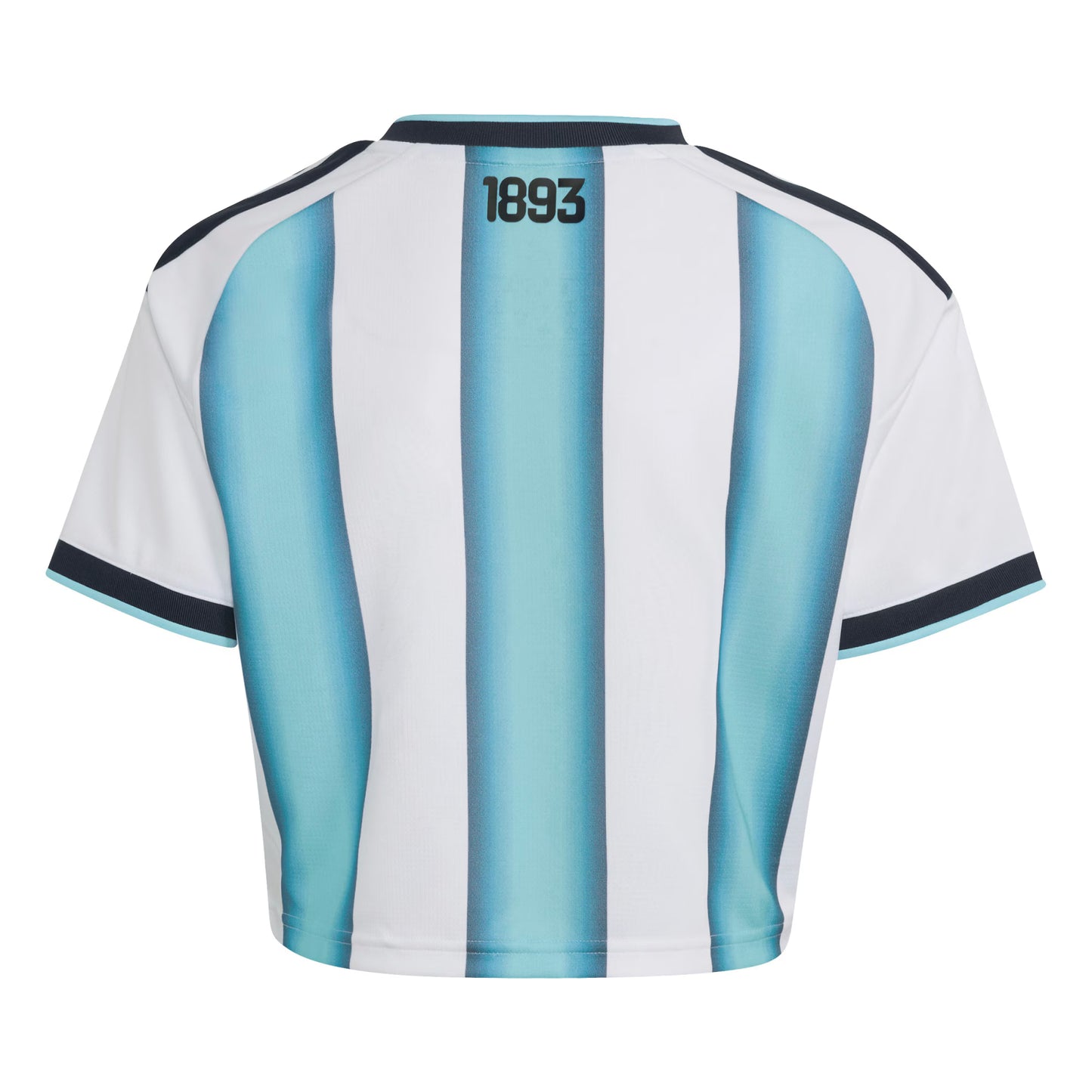 Argentina National Team Women's  Home 2022 Winners Cropped Replica Jersey - White