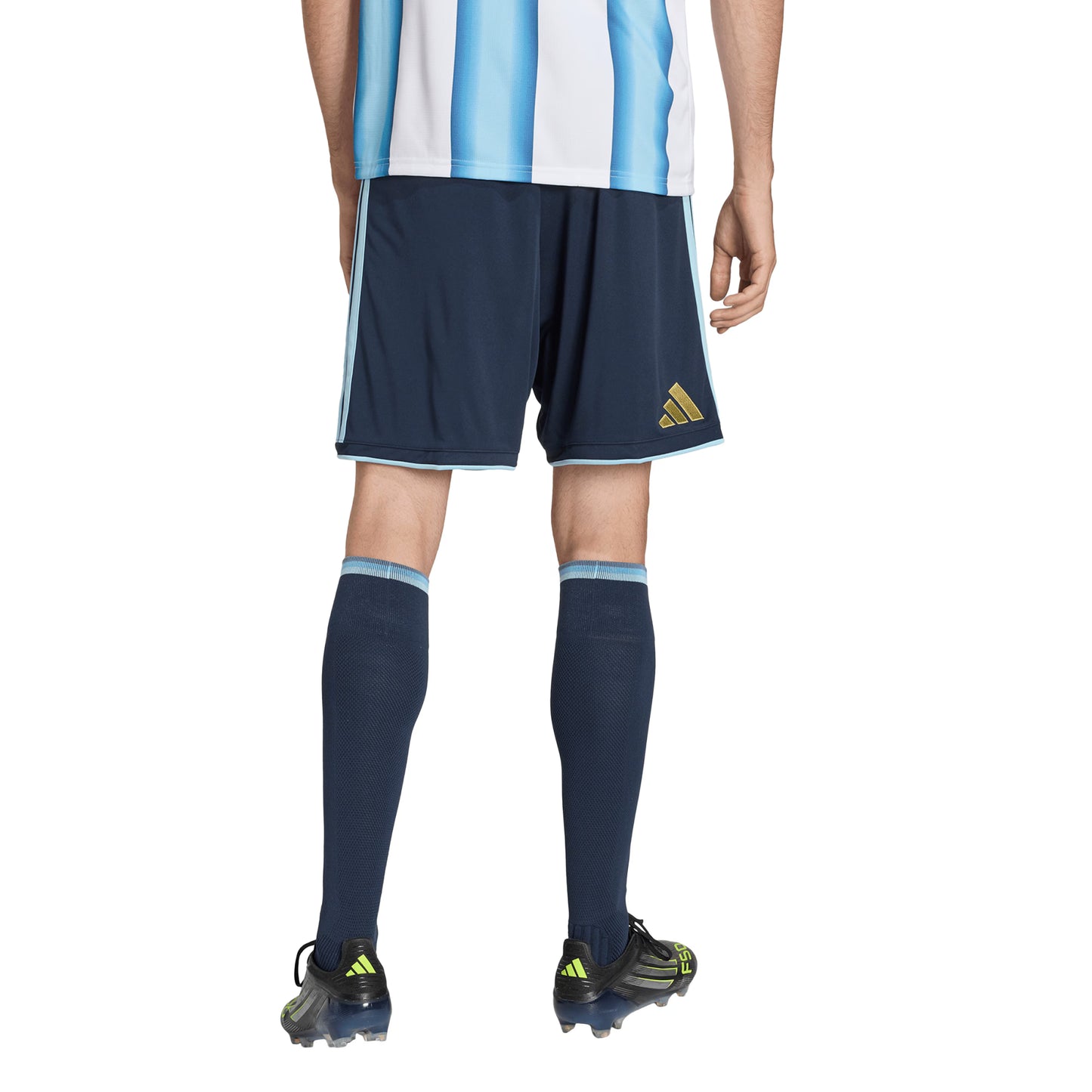 Argentina National Team 2026  Replica Shorts - Navy