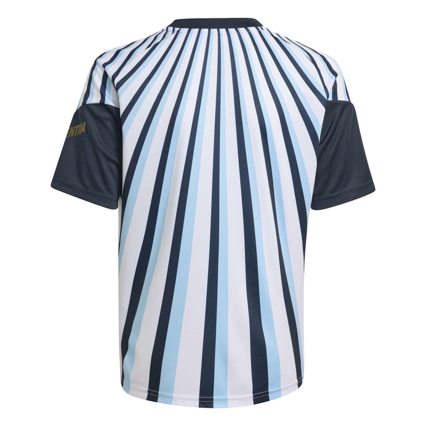 Argentina National Team Youth 2026 Pre-Match Top - White